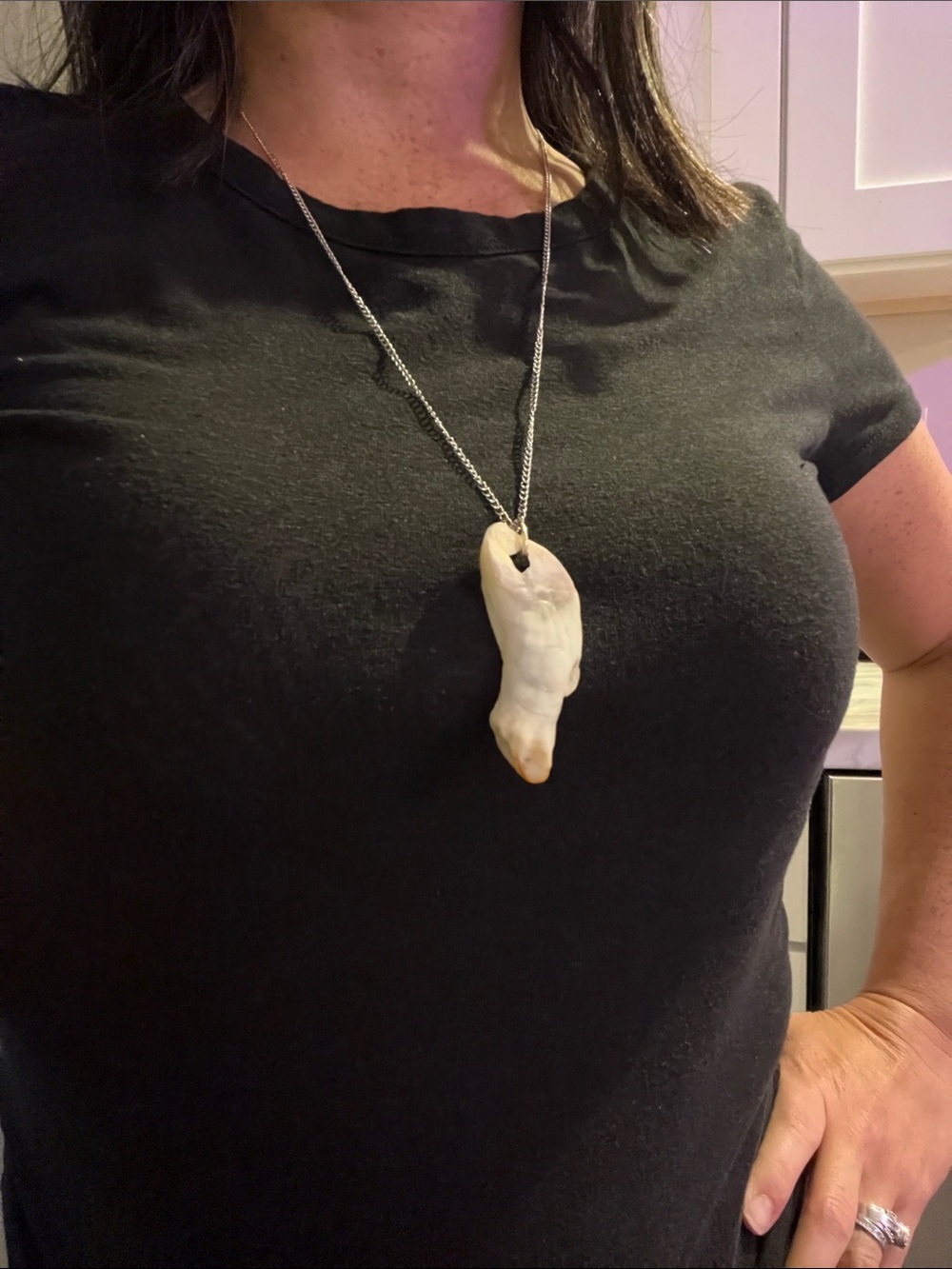 Genuine Shell Pendant on long silver chain